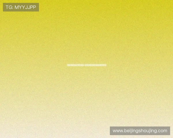 风速体育最新版本震撼发布 全新界面和功能优化提升用户体验